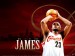 LeBron James - KING red.jpg